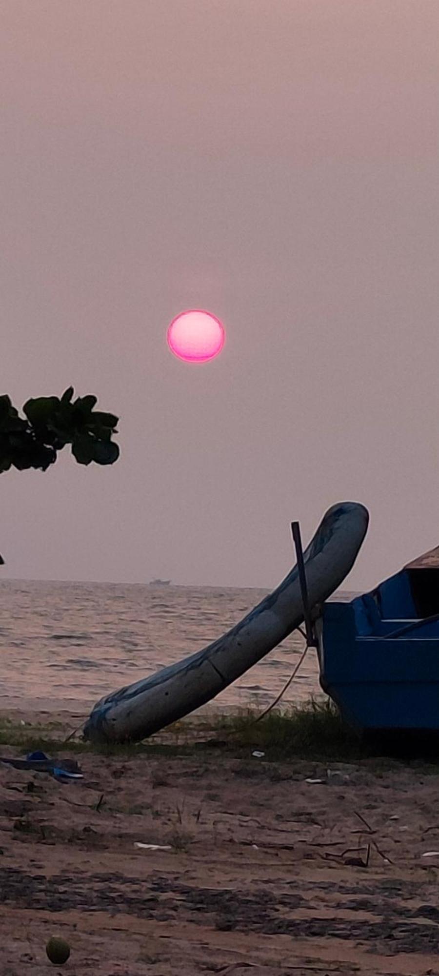 Marari Blue Whale Beach House Alappuzha Zewnętrze zdjęcie