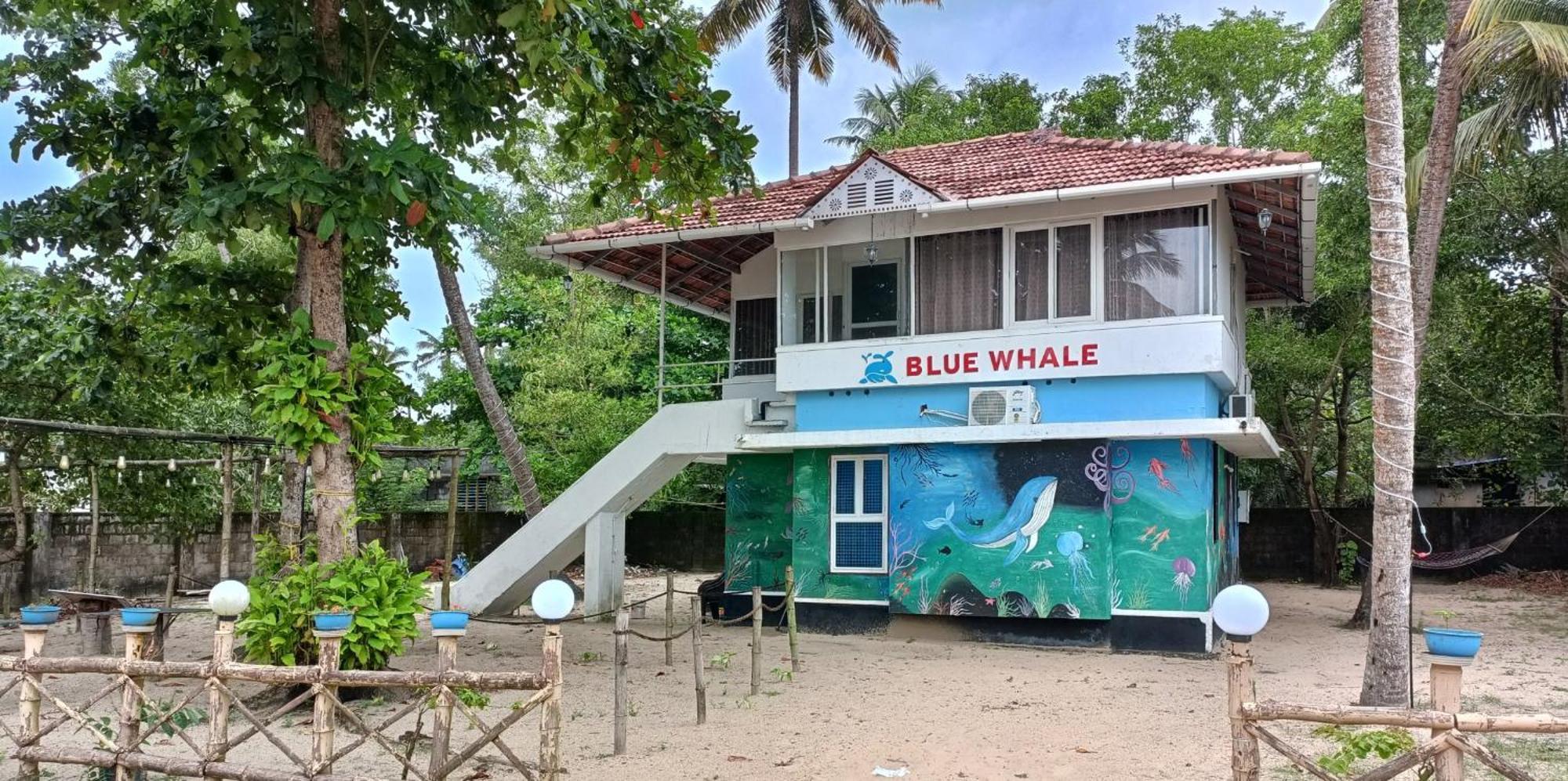 Marari Blue Whale Beach House Alappuzha Zewnętrze zdjęcie