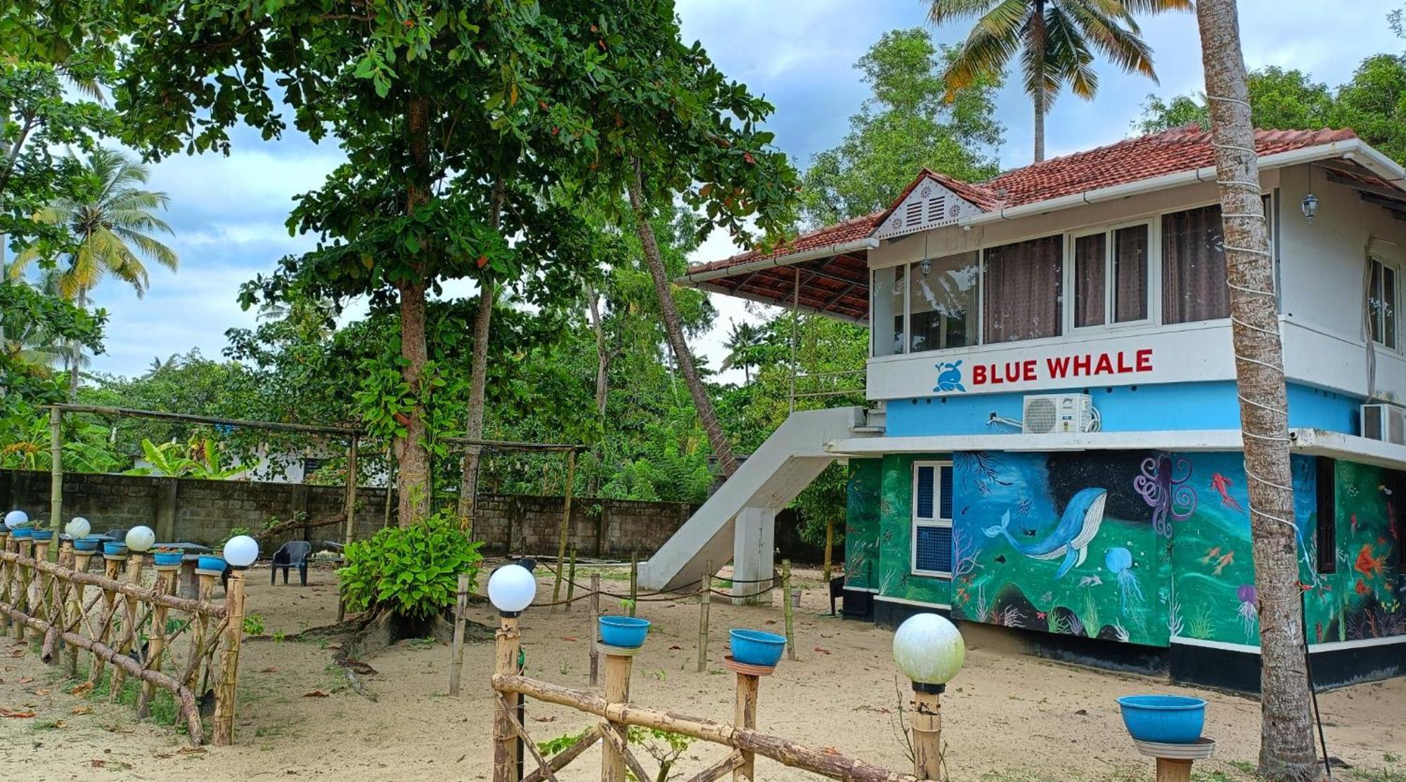Marari Blue Whale Beach House Alappuzha Zewnętrze zdjęcie