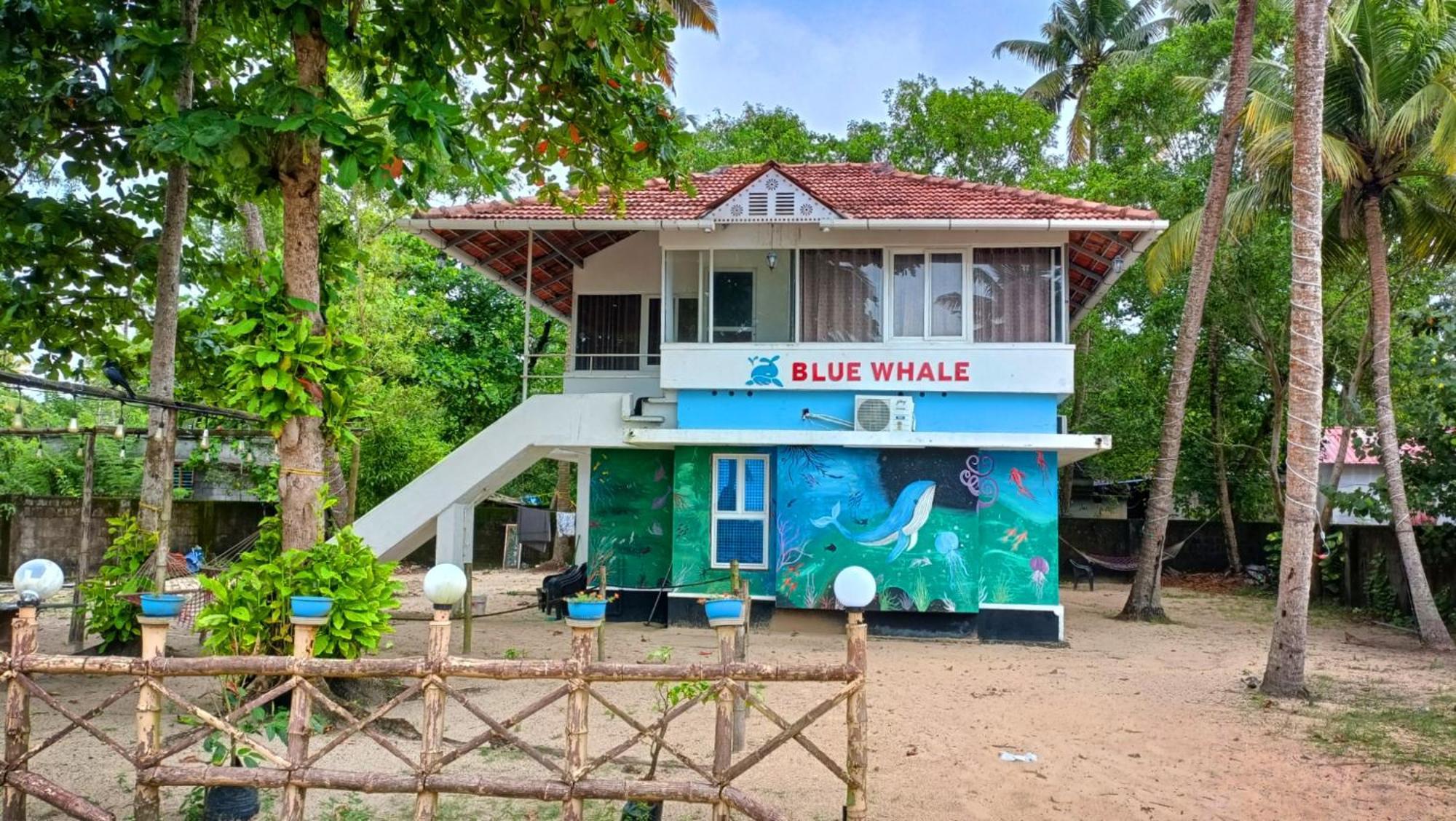 Marari Blue Whale Beach House Alappuzha Zewnętrze zdjęcie