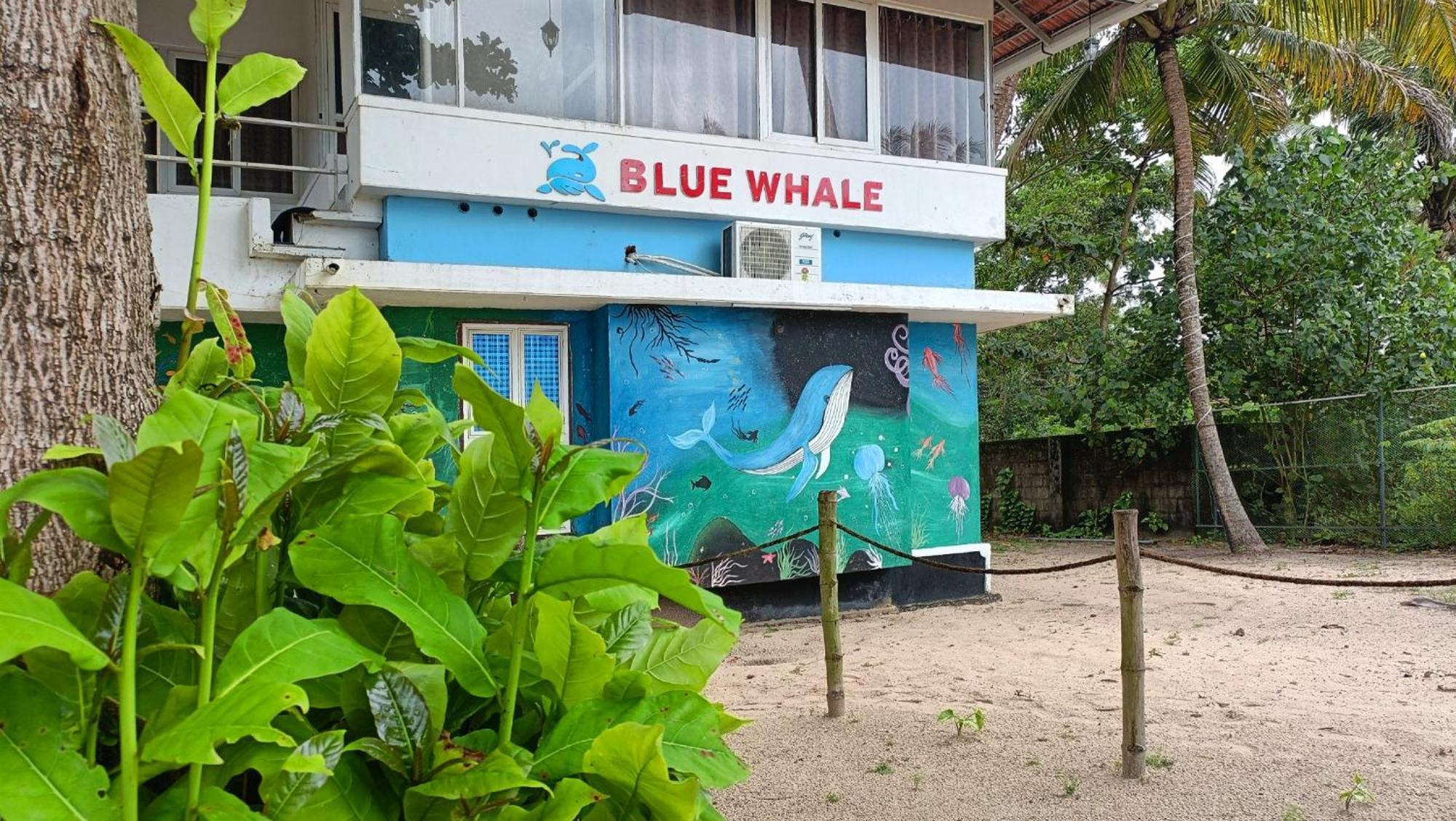 Marari Blue Whale Beach House Alappuzha Zewnętrze zdjęcie