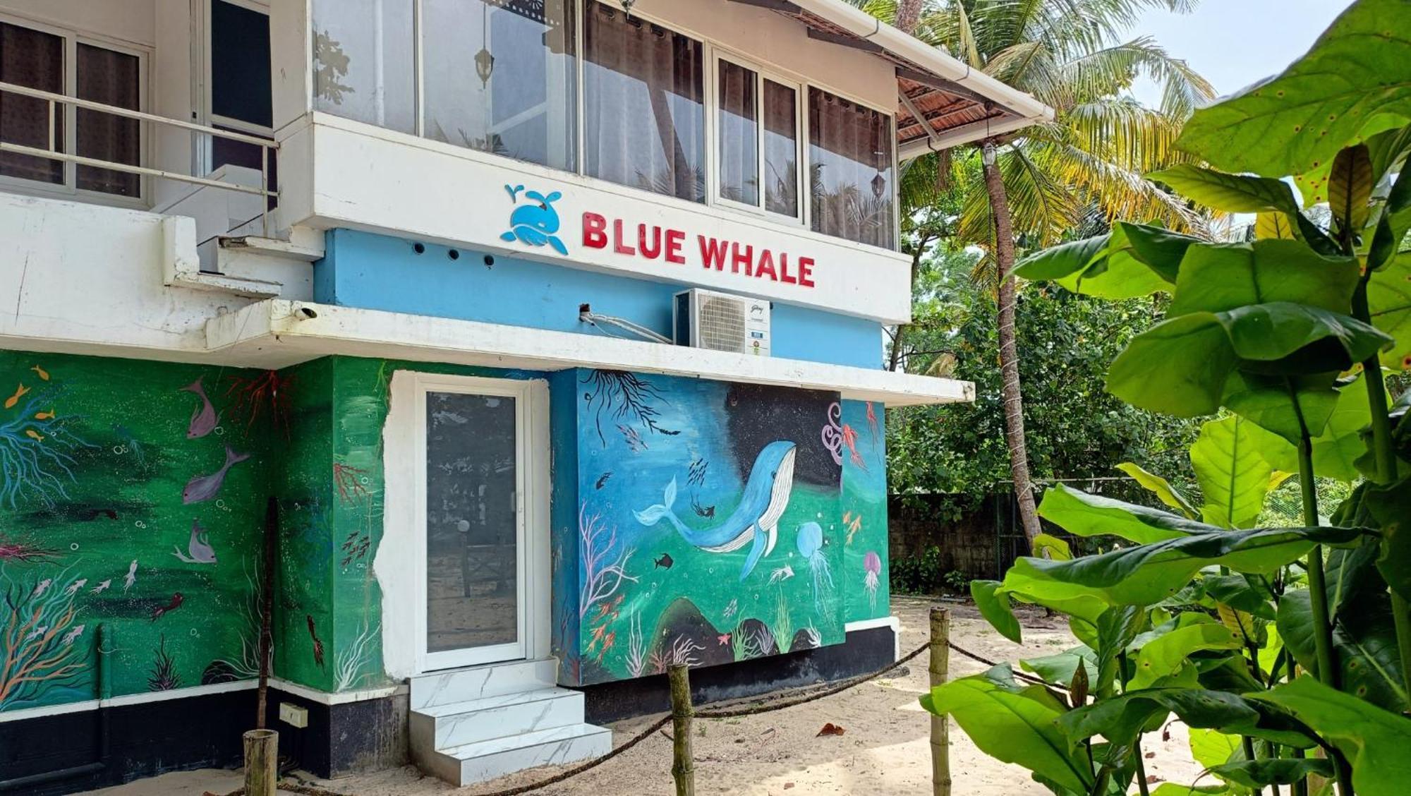 Marari Blue Whale Beach House Alappuzha Zewnętrze zdjęcie